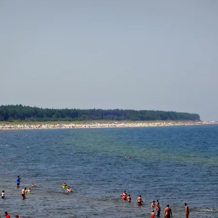 W Grzybowie * גרצי'יבובו