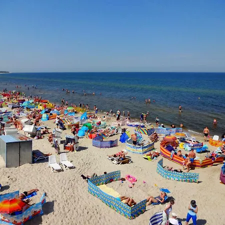 W Grzybowie Grzybowo (West Pomeranian)