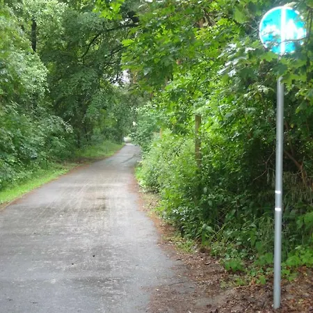 W Grzybowie גרצי'יבובו