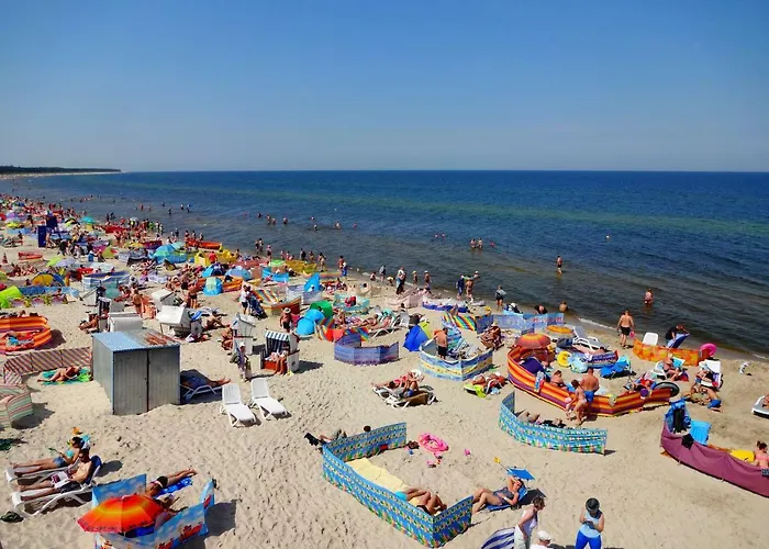 W Grzybowie Grzybowo (West Pomeranian)