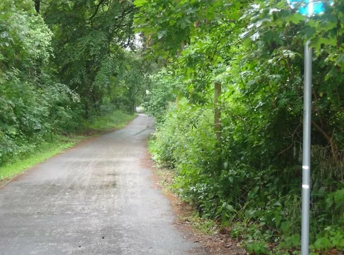 W Grzybowie Grzybowo (West Pomeranian)